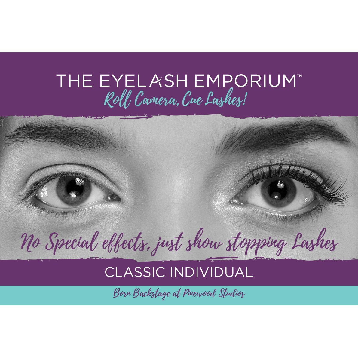 Classic Individual Lashes Poster