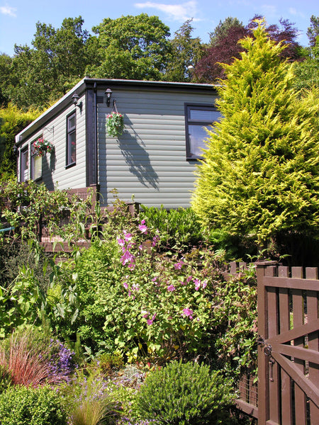 Classic Individual Eyelash Extension Training Bathgate